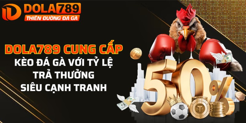 Cung cấp kèo đá gà với tỷ lệ đổi trả thưởng siêu cạnh tranh